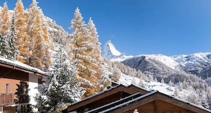 Charming 8-bed House in Zermatt