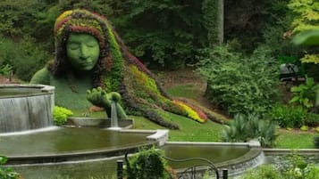 Terrain de l’hébergement