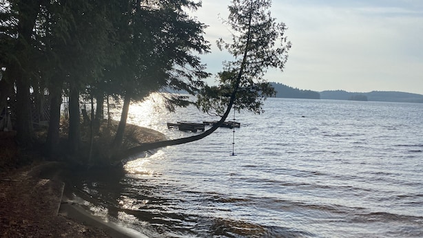 Una playa con un muelle de madera que se adentra en aguas tranquilas, rodeada de árboles y una costa lejana.