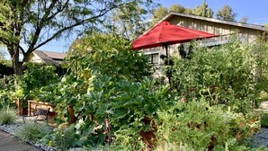 A garden with various plants and a red umbrella. - Family Home Near Bidwell Park (Chico)