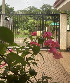 Details aan de buitenkant