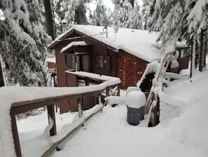 Property grounds - Cedar Pines Cabin w/ Fire Pit & Large Deck - BIG Trees - A Quaint Rustic Charmer (Pollock Pines)