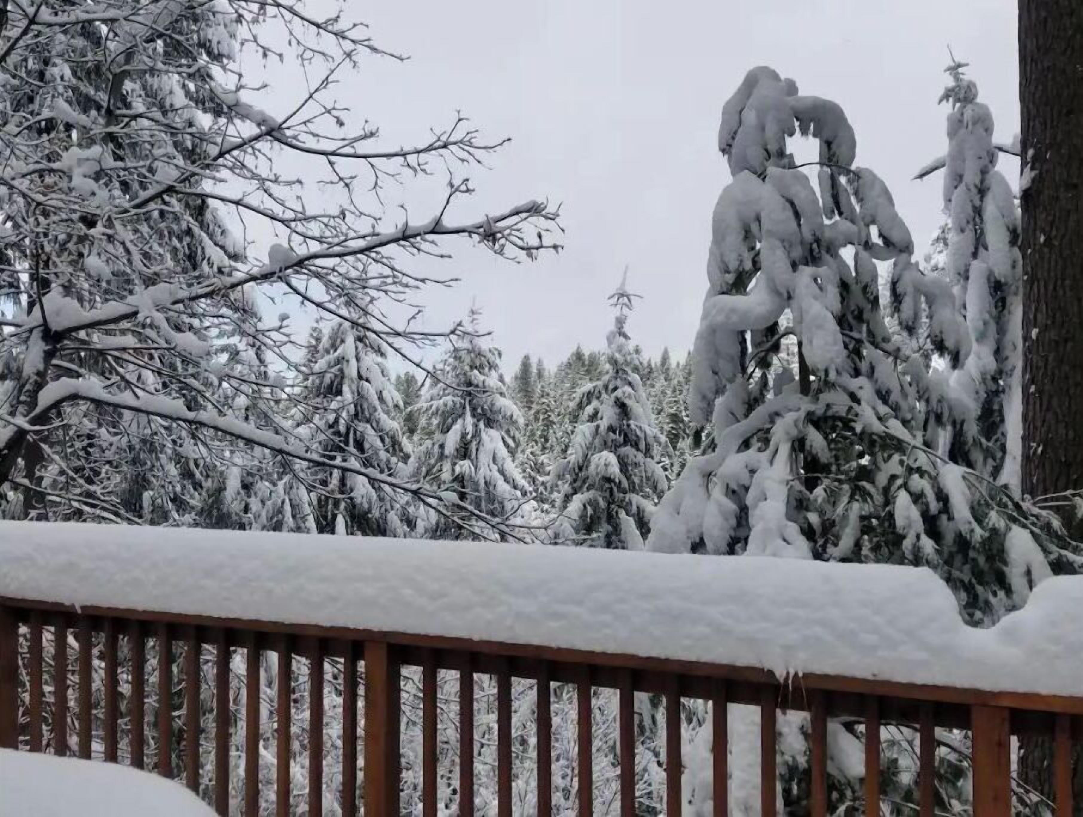A snowy landscape with a wooden deck.