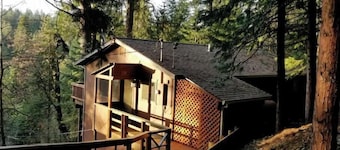 Cedar Pines Cabin w/ Fire Pit & Large Deck - BIG Trees - A Quaint Rustic Charmer