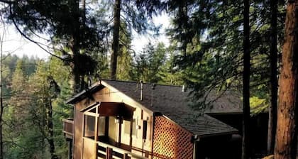 Cedar Pines Cabin w/ Fire Pit & Large Deck - BIG Trees - A Quaint Rustic Charmer