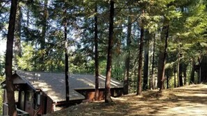 Mökki, jossa on jyrkkä katto ja pieni kuisti, ja se sijaitsee korkeiden puiden ympäröimänä metsäisellä alueella.