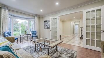 TV connectée, cheminée, livres