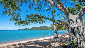 Une plage avec une eau d’un bleu limpide, des bateaux et un arbre au premier plan.