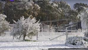 A snowy landscape with a fenced area, trees, and a structure that appears to be a barn or storage shed. - Eco tiny home williwa (Portland)