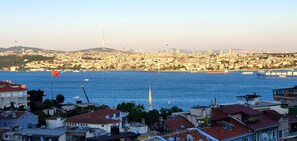 الإطلالة من المنشأة