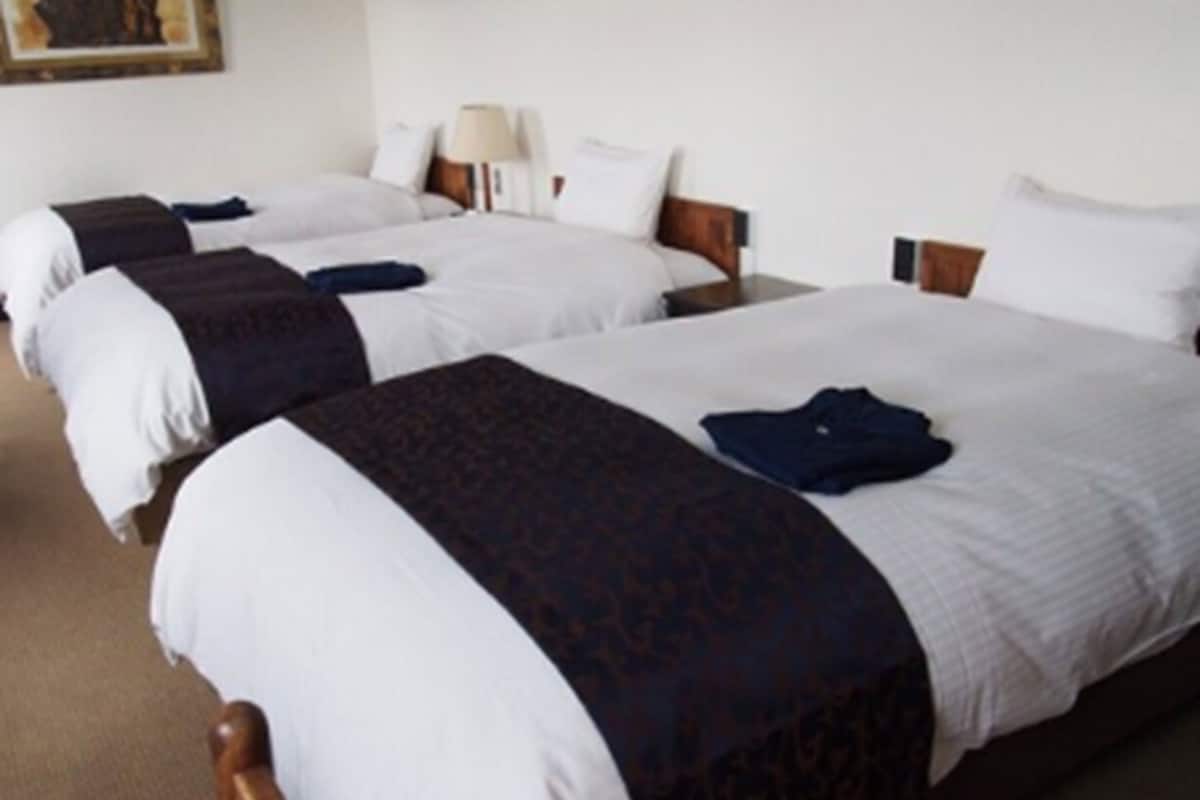 economy triple room, non smoking, annex building | 1 bedroom, down duvets, blackout curtains, free wifi