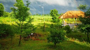 Un paysage rural avec une construction à toit de chaume, un champ d’herbe et un arc-en-ciel dans le ciel.