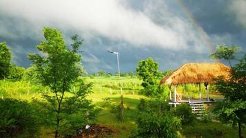 Condo, Multiple Bedrooms, Accessible, Smoking | Exterior