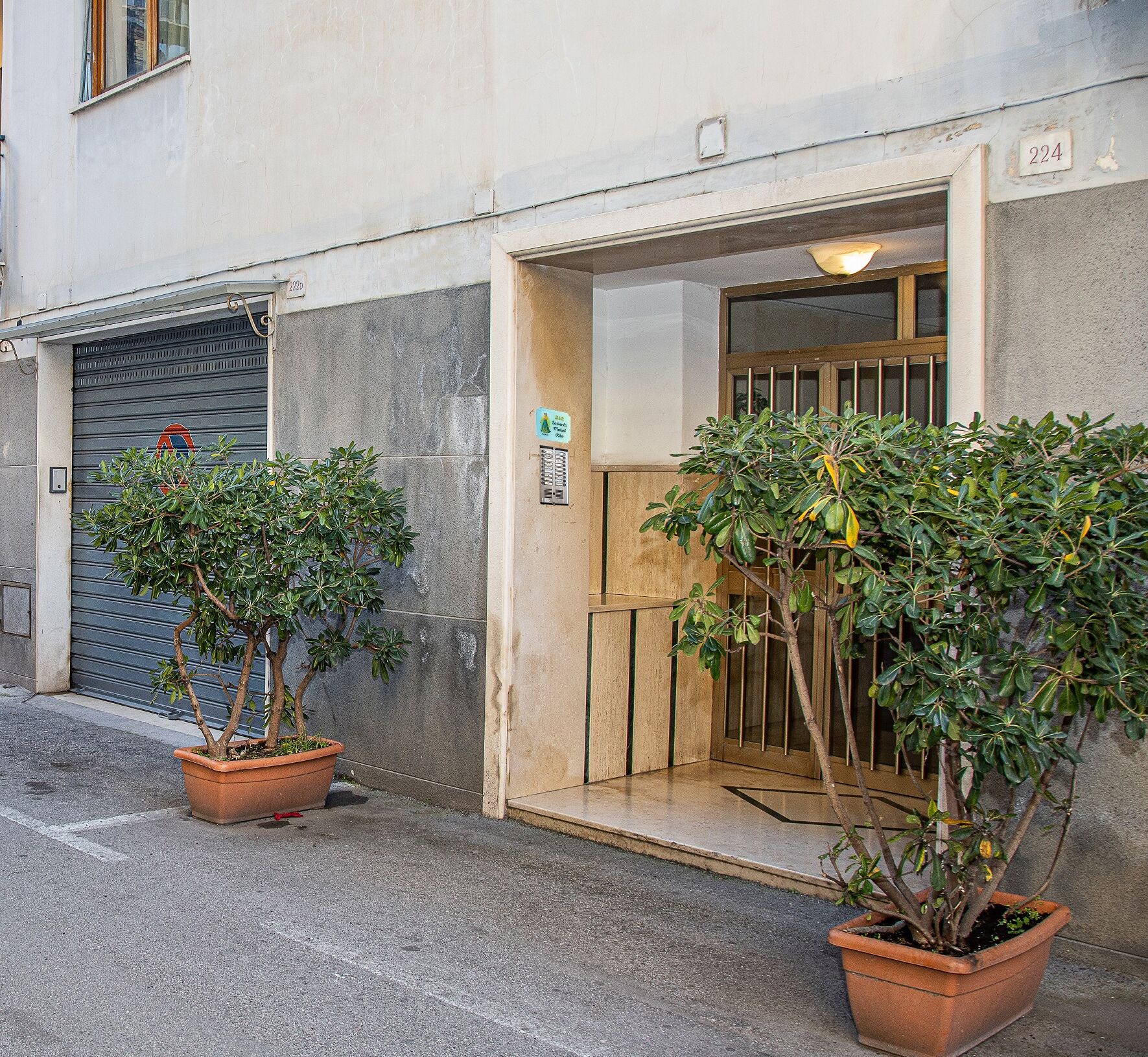 Photo - BB Sorrento Mahal Kita unique style