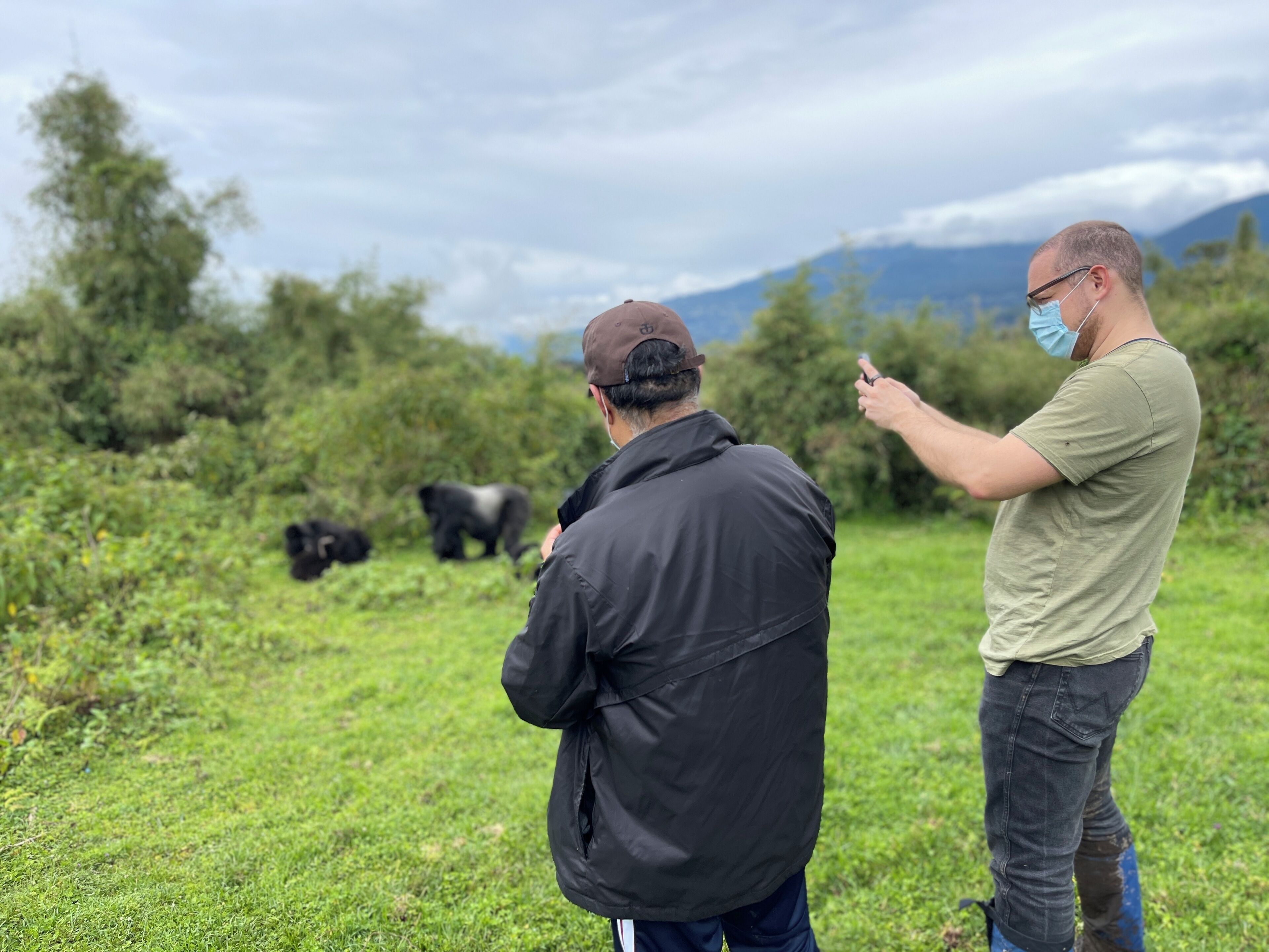 Deux personnes observent la faune dans un champ herbeux, avec des arbres et des montagnes en arrière-plan.