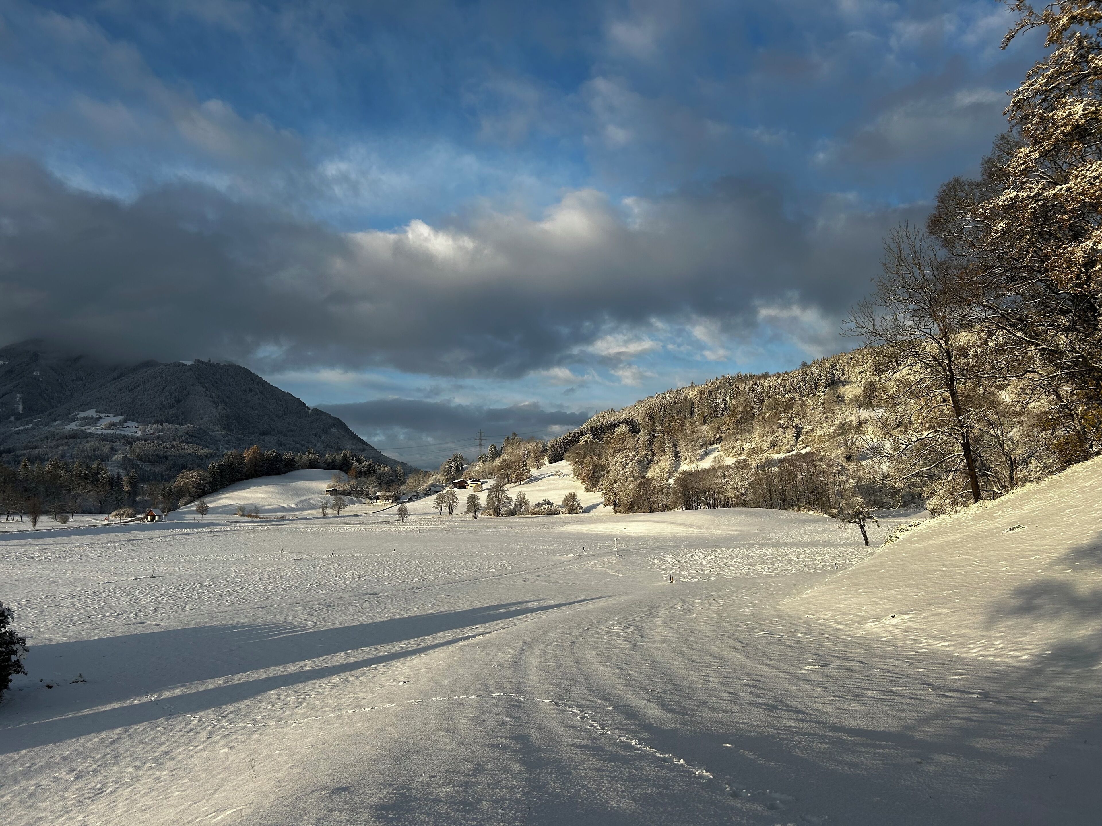 A snowy landscape with a clear path, trees, and a mountain in the background.