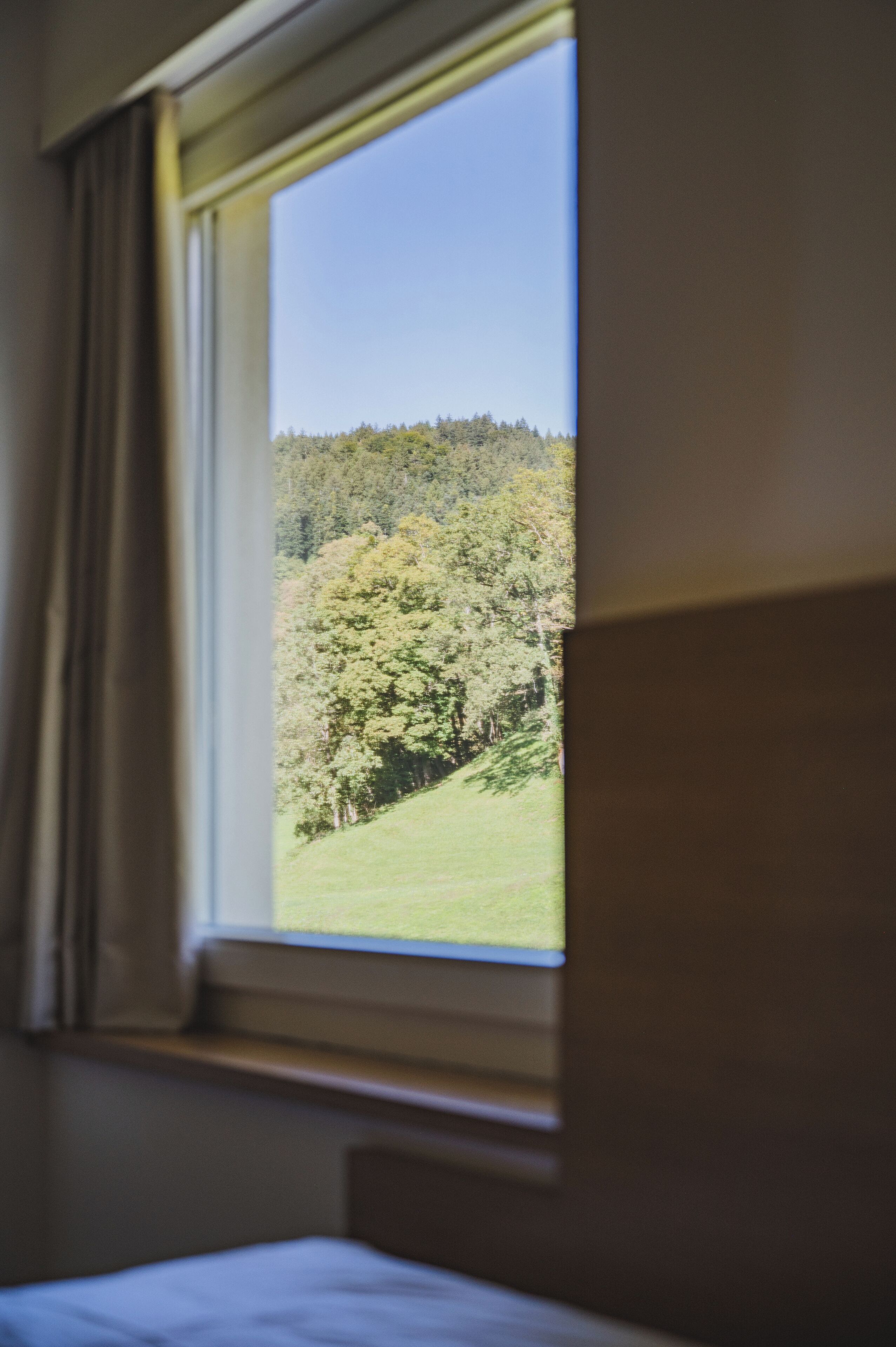 A room with a window overlooking a forested area.