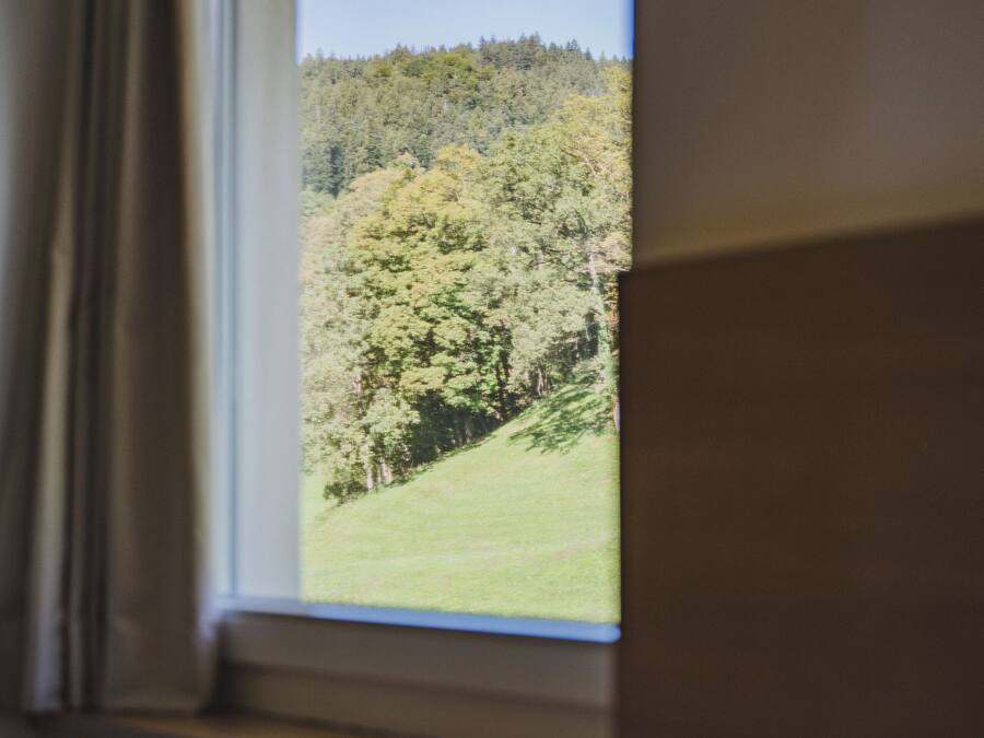 A room with a window overlooking a forested area.