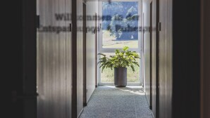 A narrow hallway with a potted plant at the end, leading to a bright room with a large window.