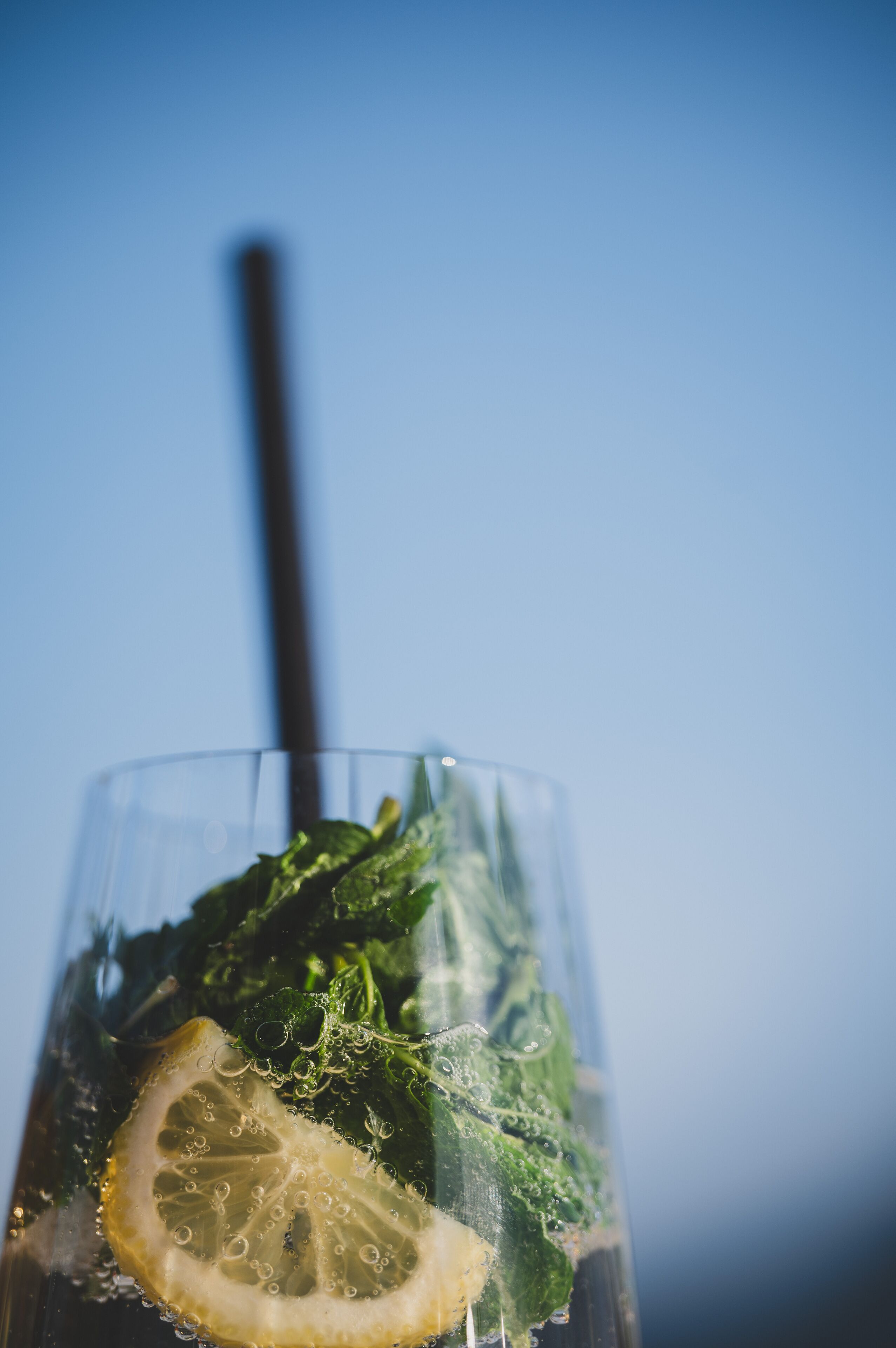 Un verre contenant une tranche de citron et des feuilles de menthe, avec une paille.
