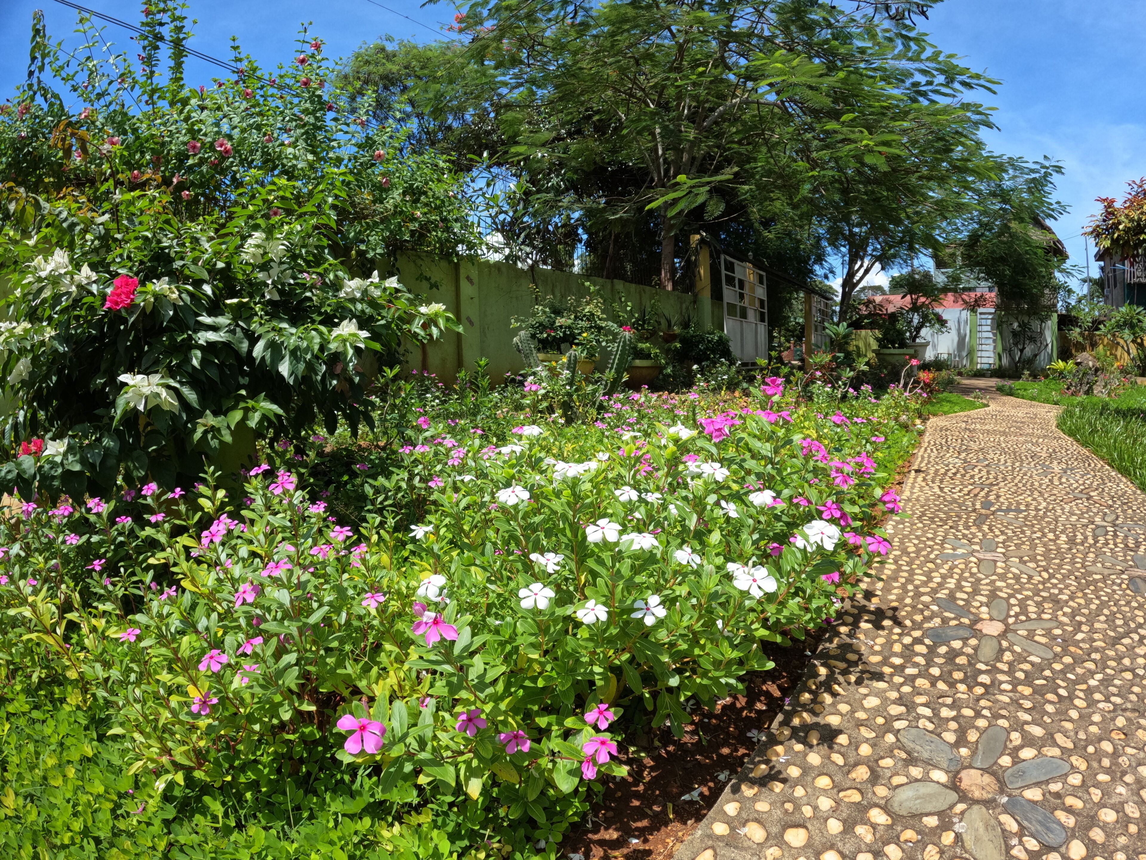 Jardín