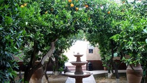 Ein Innenhof mit einer zentralen Fontäne, umgeben von Kübelpflanzen und Obstbäumen.