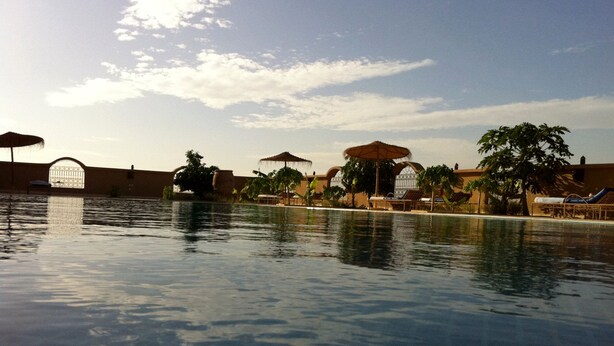 Ein Swimmingpool mit Liegestühlen und Sonnenschirmen, umgeben von Palmen und blauem Himmel.