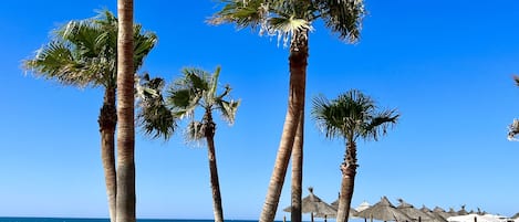 Ubicación cercana a la playa, tumbonas y toallas de playa