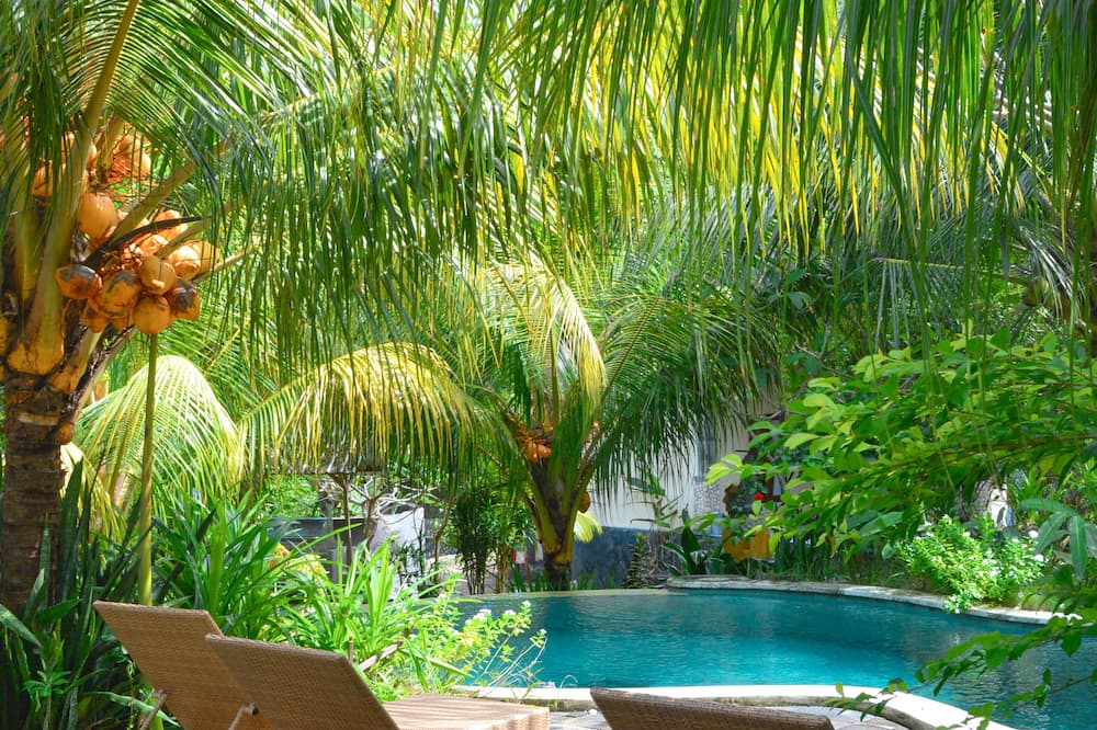 Tarzan Marriott On Penida