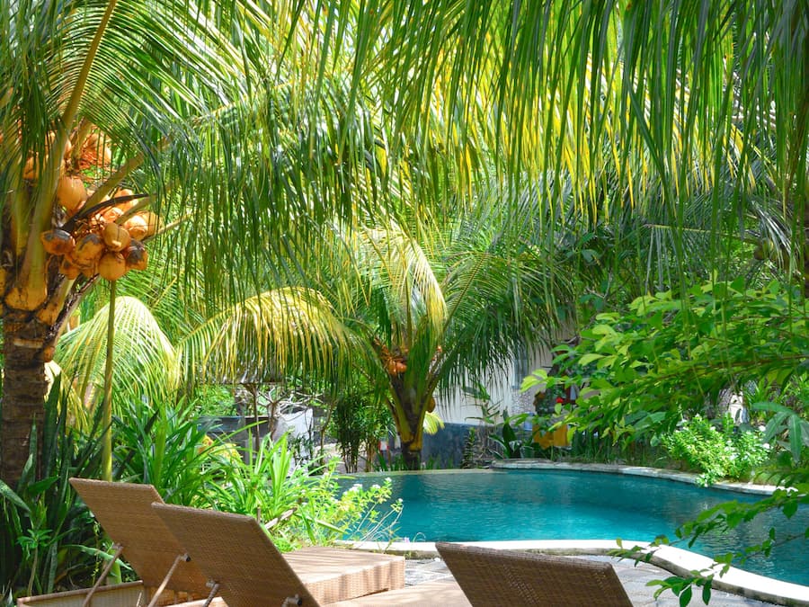 Standard Double Room, 1 King Bed, Garden View | Garden view