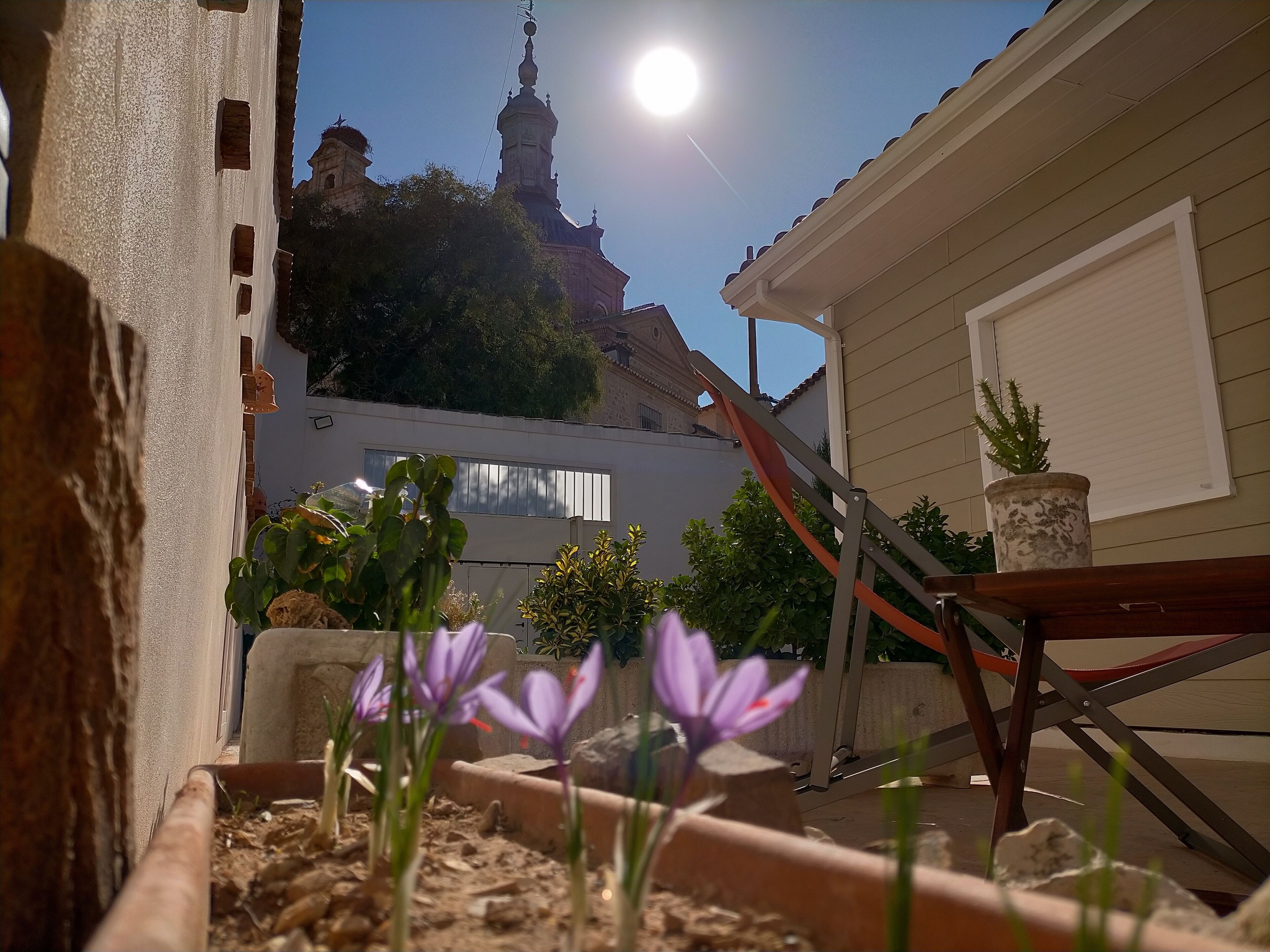 A courtyard with a view of a church tower, a small garden with purple flowers, and a metal staircase.