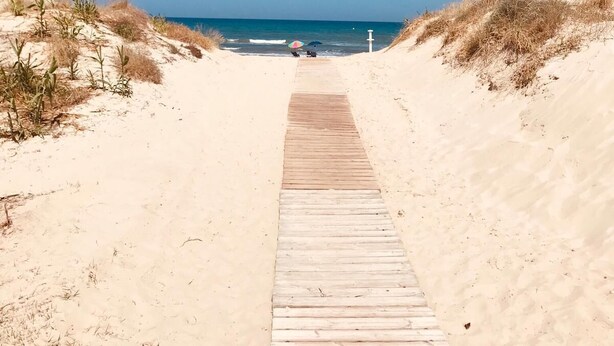 Un muelle de madera que conduce a una playa con dunas y un cielo azul despejado.