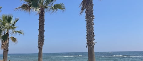 Beach nearby, sun loungers