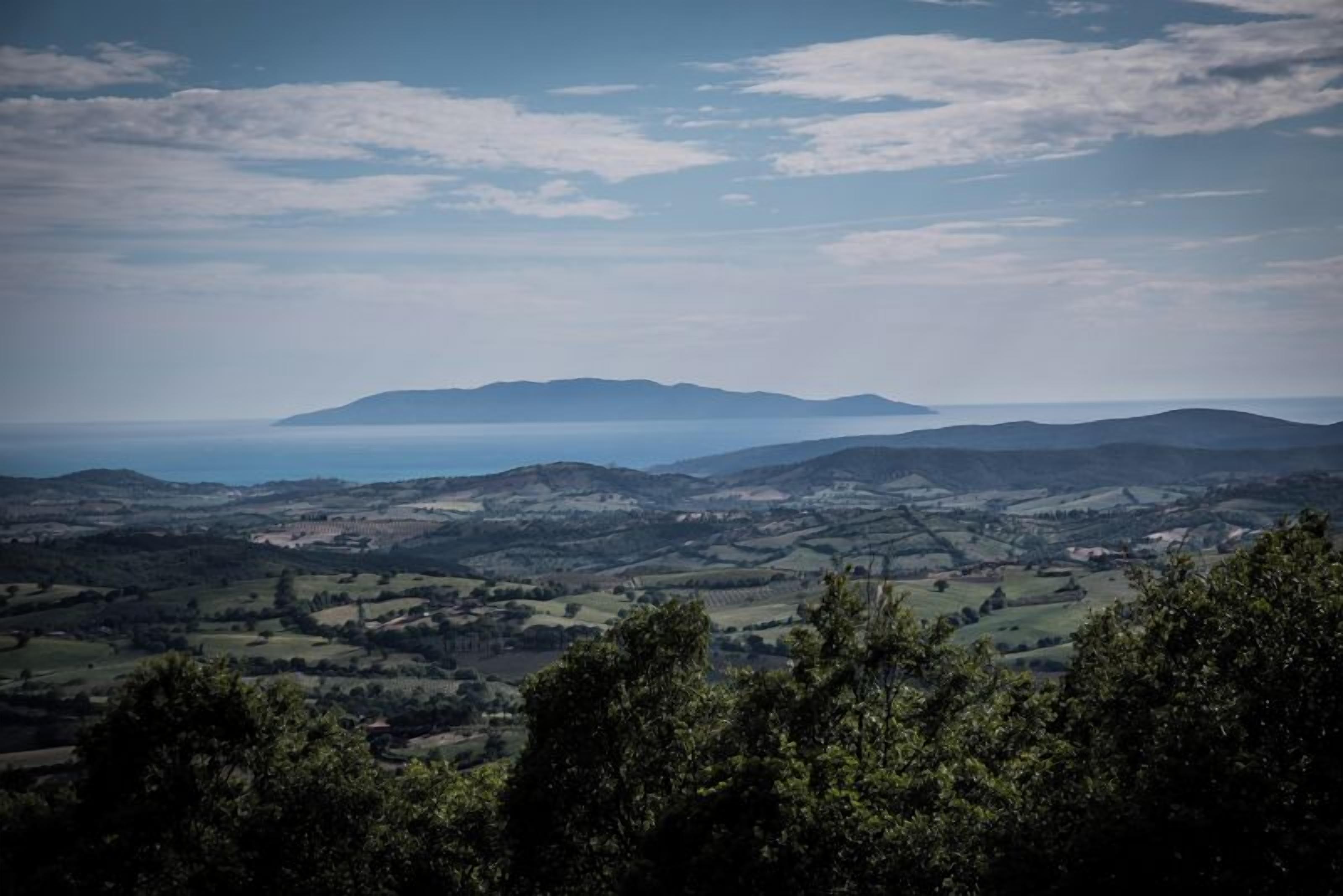 A panoramic view of a hilly landscape with a distant mountain range.