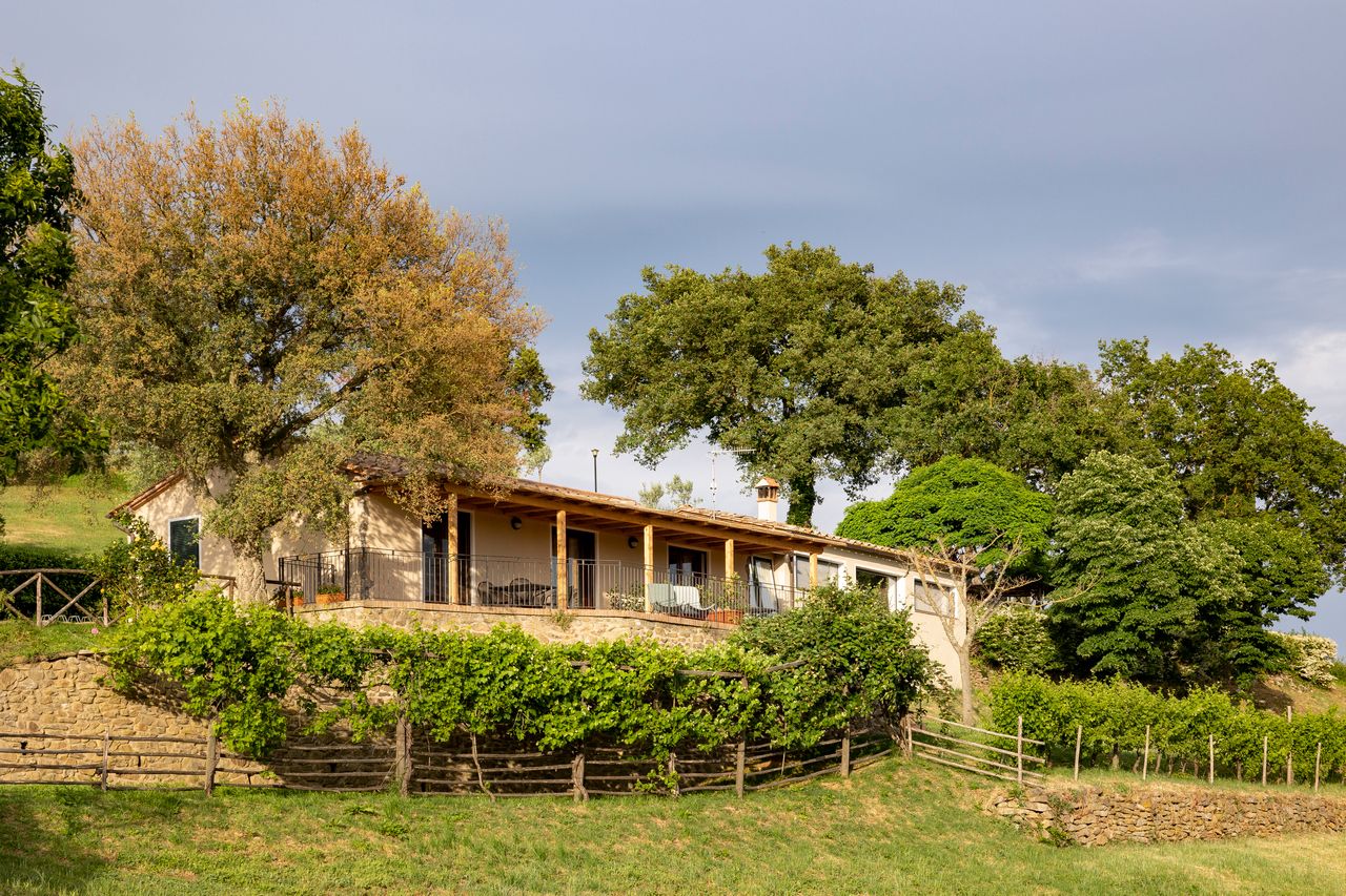 A rustic villa with a stone facade, a covered porch, and a vineyard in the foreground.