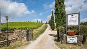 A vineyard path leading to a wine shop named L'Aione. - Agriturismo Podere l'Aione (Scansano)