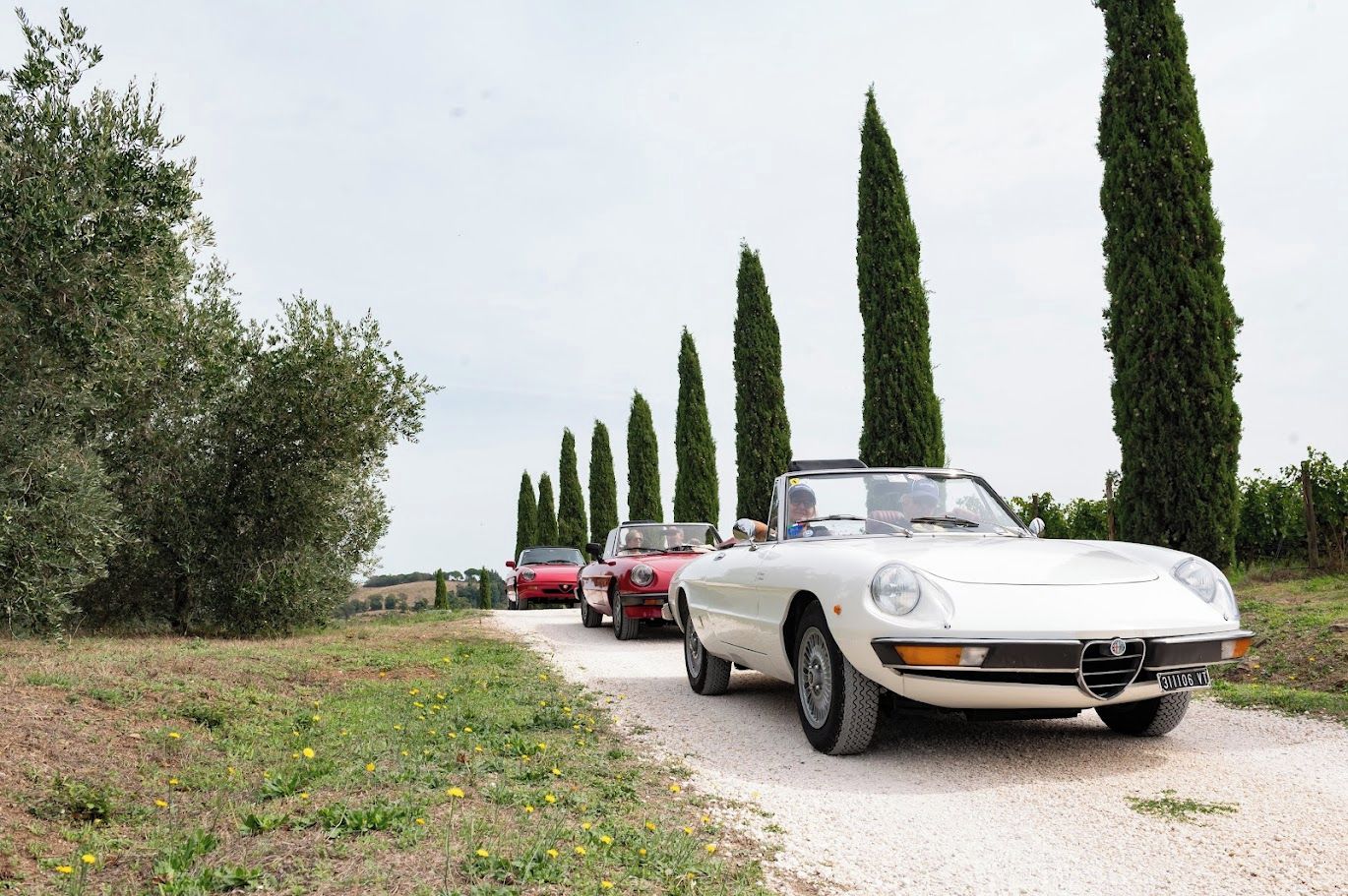 A white convertible car on a gravel path with tall cypress trees on the side.