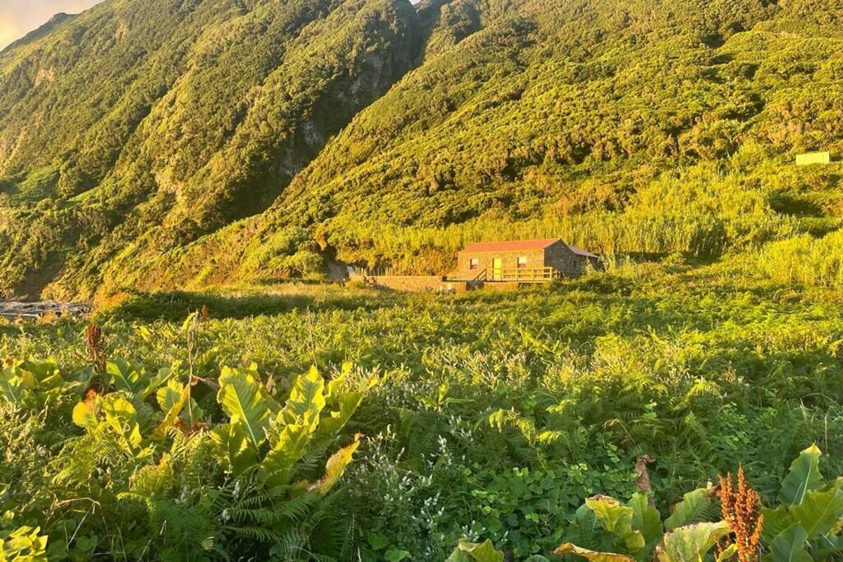 Una casa rústica rodeada de exuberante vegetación y montañas.