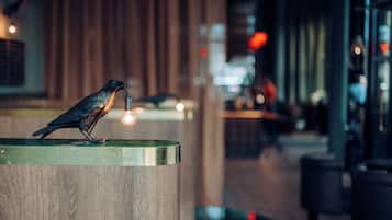 Un pájaro posado sobre una superficie metálica en un ambiente interior moderno, con elementos de fondo desenfocados.
