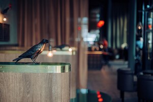 Un pájaro posado sobre una superficie metálica en un ambiente interior moderno, con elementos de fondo desenfocados.