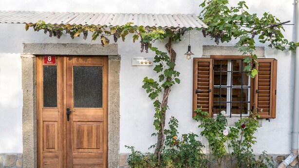 Un bâtiment avec une porte en bois, une fenêtre avec des volets et un jardon en pierre contenant des plantes.