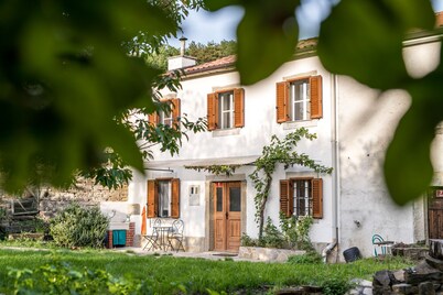 Renovated Istrian house in the woods