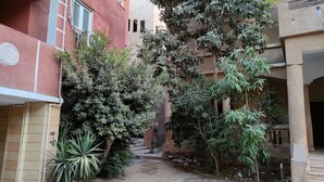 Exterior - Kenzy Guest House (Giza)