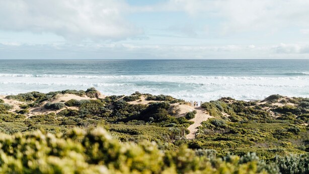 Un paysage côtier avec une plage de sable, une végétation luxuriante et l’océan en arrière-plan.