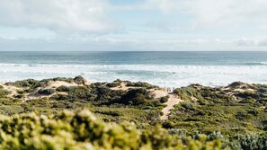 A coastal landscape with a sandy beach, dense greenery, and the ocean in the background.