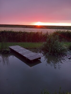 Een houten steiger die uitstulpt in een kalme waterpartij, met een zonsondergang op de achtergrond.