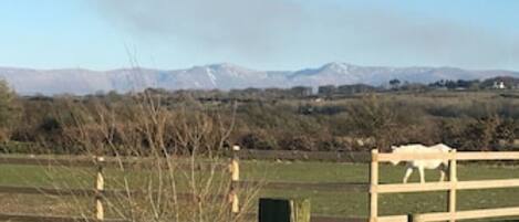 الإطلالة من المنشأة