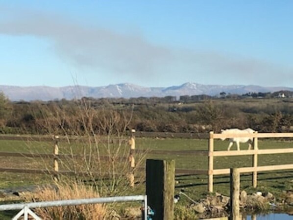 Vista dalla struttura