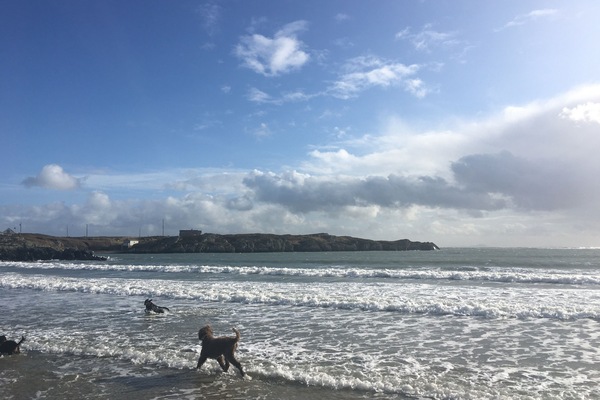 Vlak bij het strand, ligstoelen
