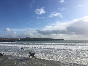 Plage à proximité, chaises longues